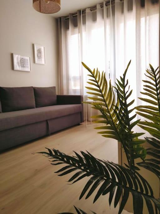 オビエドLa Terraza De La Vega - Ubicacion Inmejorable , Wifi , Terraza Y Parking Gratuitoアパートメント エクステリア 写真