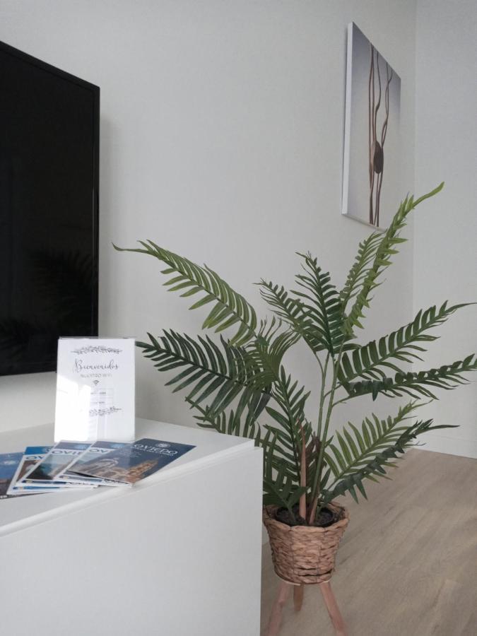 オビエドLa Terraza De La Vega - Ubicacion Inmejorable , Wifi , Terraza Y Parking Gratuitoアパートメント エクステリア 写真