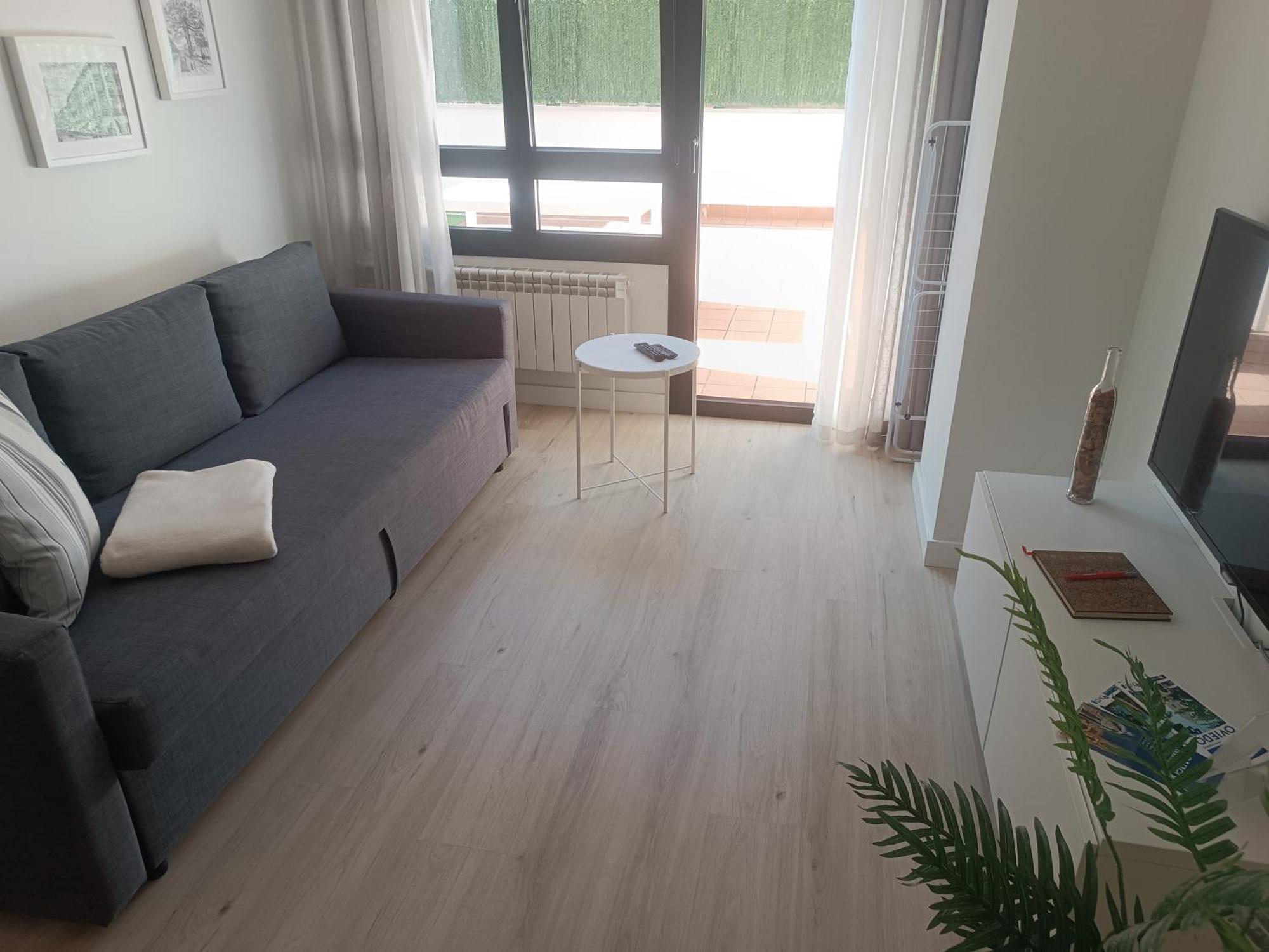 オビエドLa Terraza De La Vega - Ubicacion Inmejorable , Wifi , Terraza Y Parking Gratuitoアパートメント エクステリア 写真